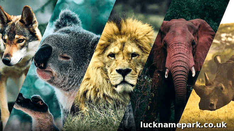 Discover Your True Self with a Quiz Totem Animal